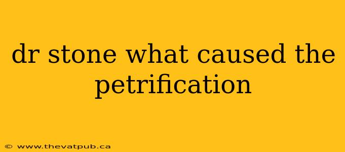 dr stone what caused the petrification