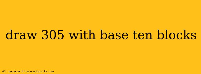draw 305 with base ten blocks
