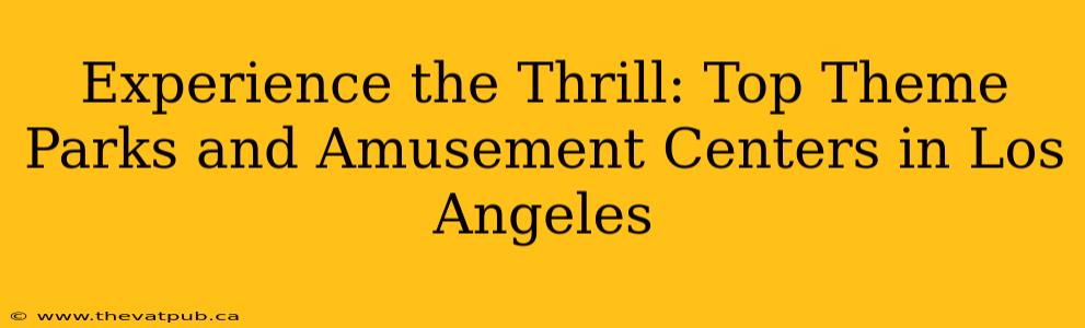 Experience the Thrill: Top Theme Parks and Amusement Centers in Los Angeles