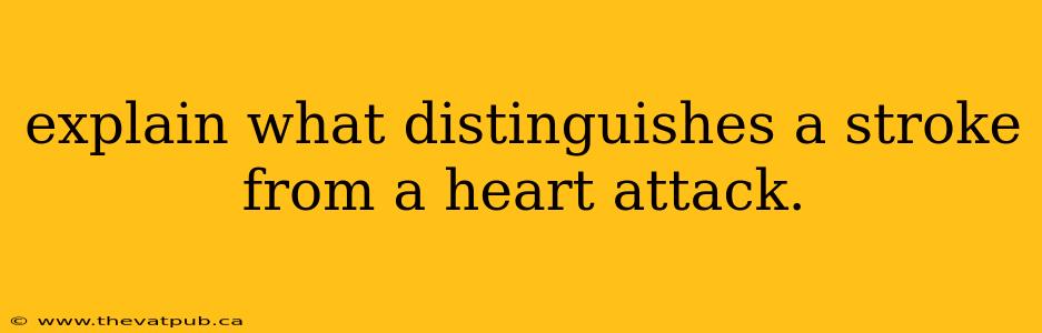 explain what distinguishes a stroke from a heart attack.