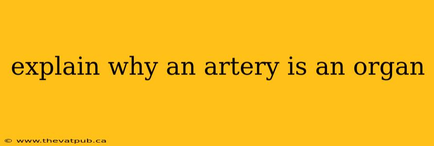 explain why an artery is an organ