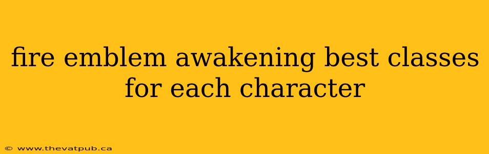 fire emblem awakening best classes for each character