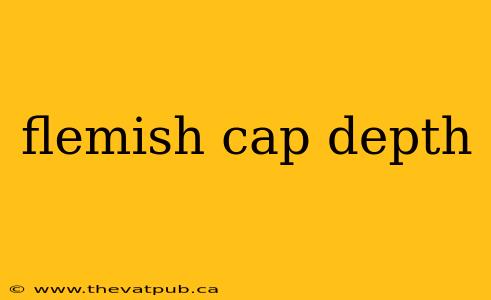 flemish cap depth