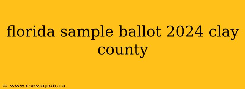 florida sample ballot 2024 clay county