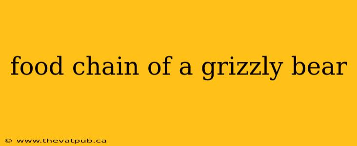 food chain of a grizzly bear