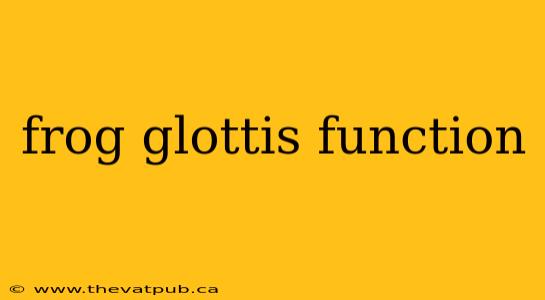 frog glottis function