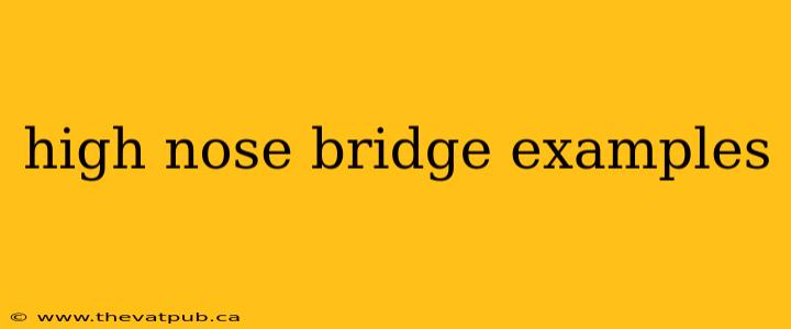 high nose bridge examples