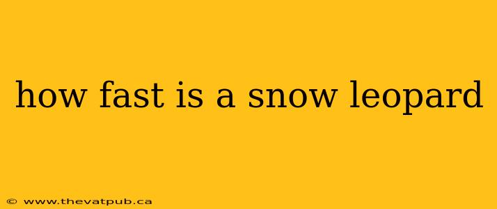 how fast is a snow leopard