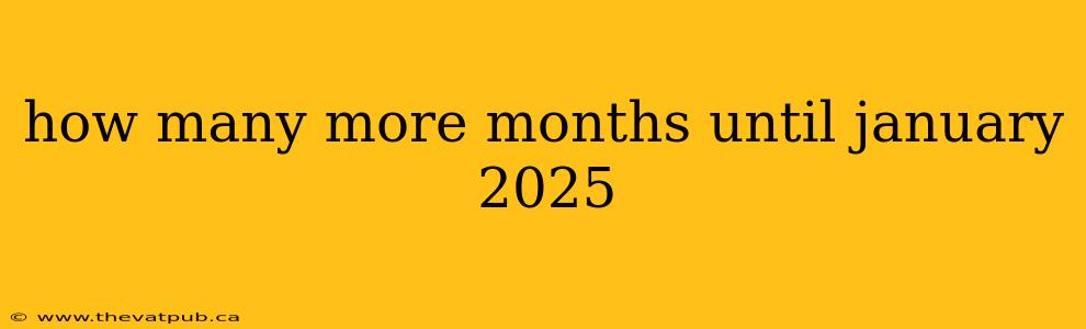 how many more months until january 2025