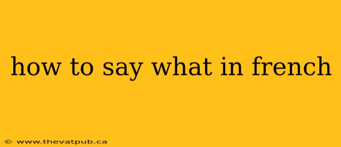 how to say what in french