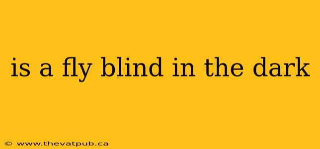 is a fly blind in the dark