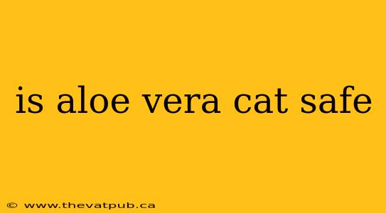 is aloe vera cat safe