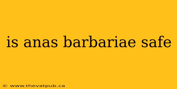 is anas barbariae safe