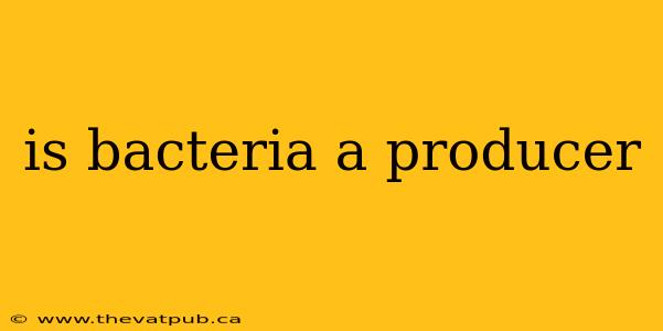 is bacteria a producer