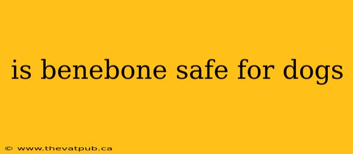 is benebone safe for dogs