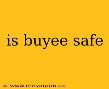 is buyee safe