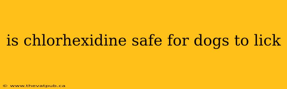 is chlorhexidine safe for dogs to lick