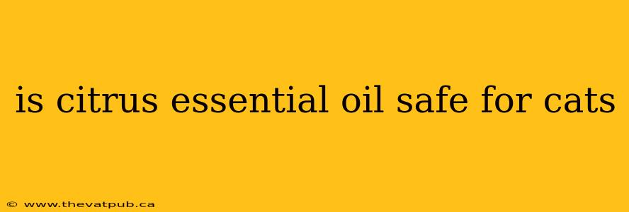 is citrus essential oil safe for cats