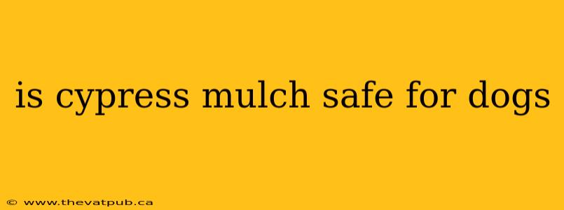is cypress mulch safe for dogs