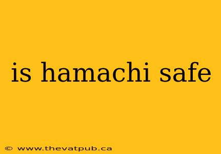 is hamachi safe