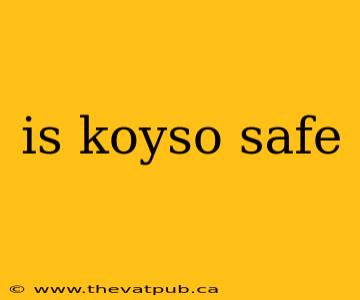 is koyso safe