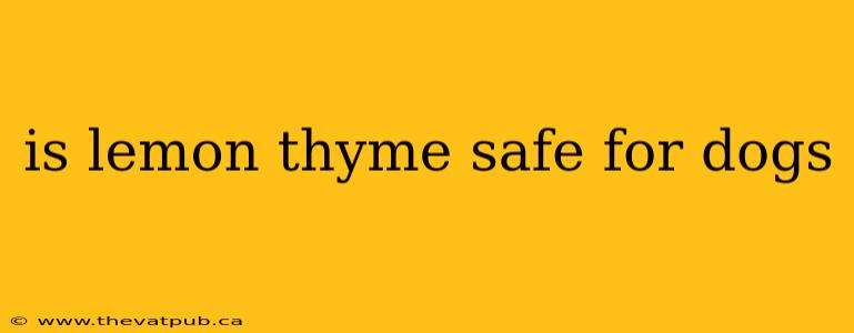 is lemon thyme safe for dogs