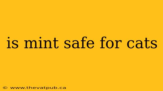 is mint safe for cats