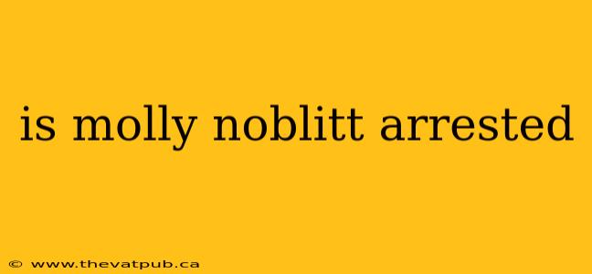 is molly noblitt arrested