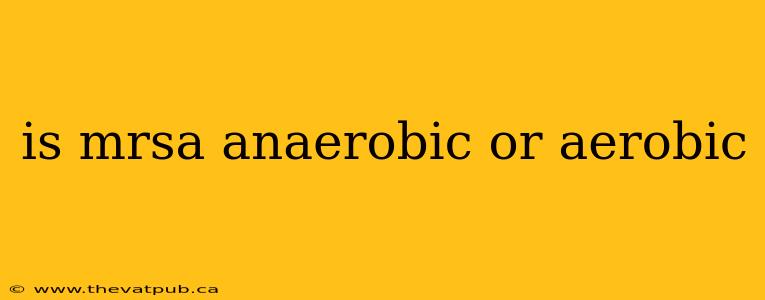is mrsa anaerobic or aerobic