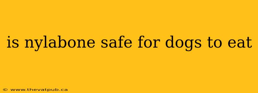 is nylabone safe for dogs to eat