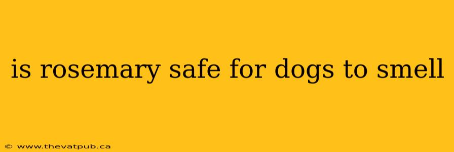is rosemary safe for dogs to smell