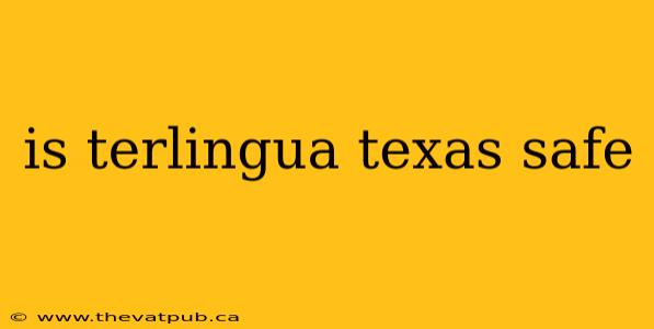is terlingua texas safe