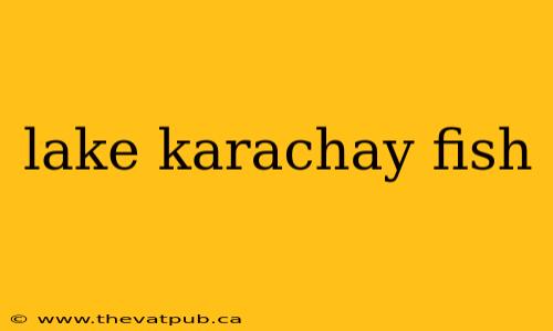 lake karachay fish