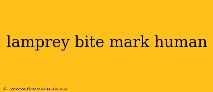 lamprey bite mark human