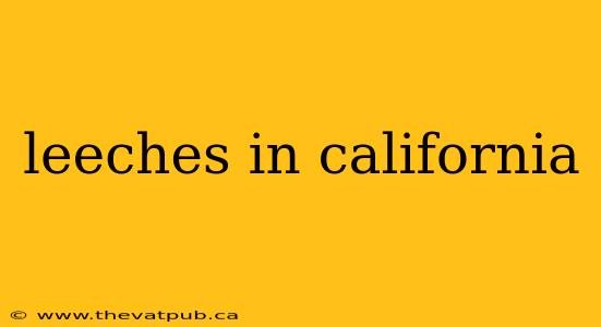 leeches in california