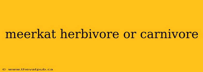 meerkat herbivore or carnivore