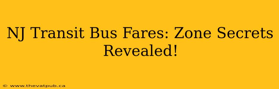 NJ Transit Bus Fares: Zone Secrets Revealed!