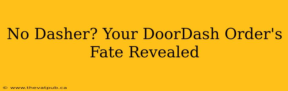 No Dasher? Your DoorDash Order's Fate Revealed