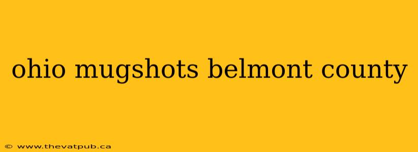 ohio mugshots belmont county