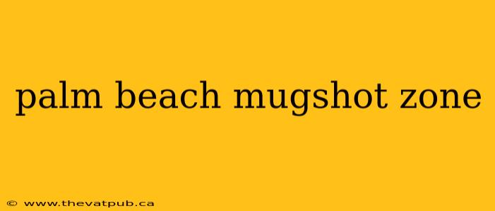 palm beach mugshot zone