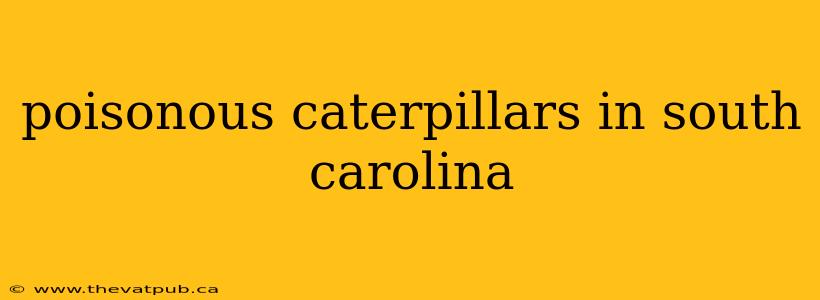 poisonous caterpillars in south carolina