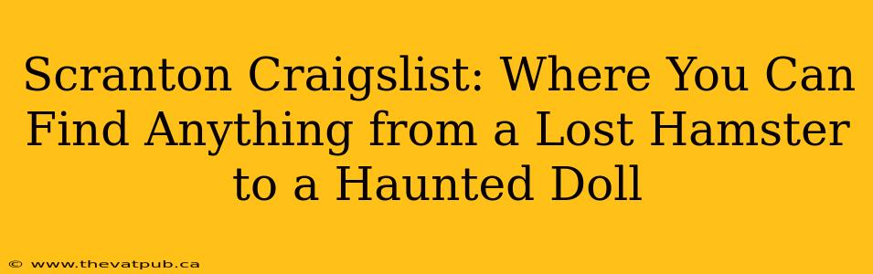Scranton Craigslist: Where You Can Find Anything from a Lost Hamster to a Haunted Doll