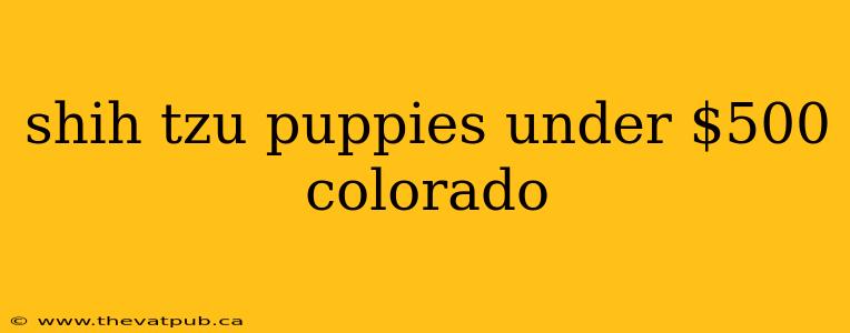 shih tzu puppies under $500 colorado