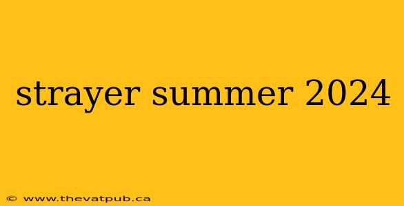 strayer summer 2024