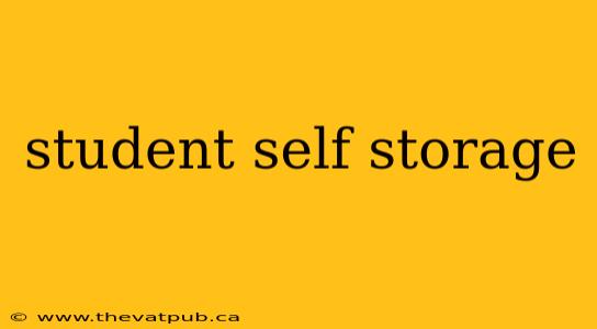 student self storage