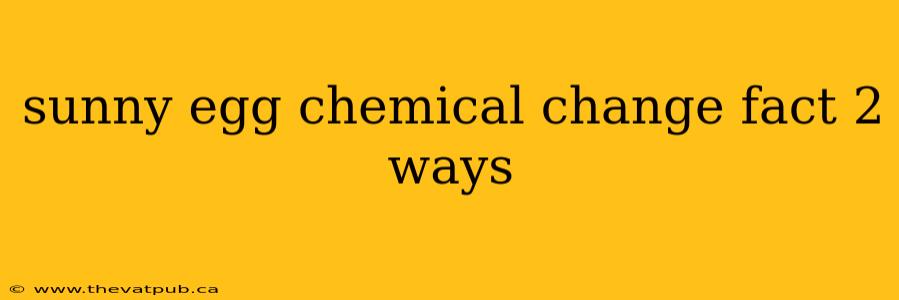 sunny egg chemical change fact 2 ways
