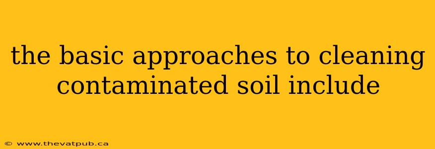 the basic approaches to cleaning contaminated soil include