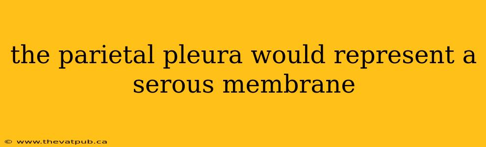 the parietal pleura would represent a serous membrane