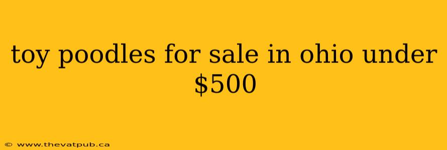 toy poodles for sale in ohio under $500