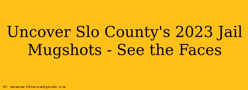 Uncover Slo County's 2023 Jail Mugshots - See the Faces